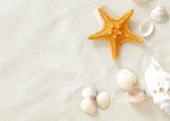 Πανσιόν Hawaii Rapotín